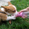 Pet Water Bottle